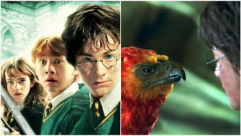 FOTO: Tahle nová teorie okolo fénixe Fawkese z Harryho Pottera vás totálně dostane!