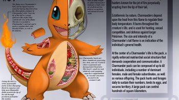 Pokémoní anatomie