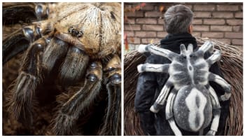 Pavouci, sliz a chapadla. 12 fotek nejděsivějších batohů, které se fakt dají nosit na zádech