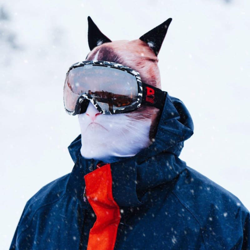 Zvířecí masky na lyžování 4