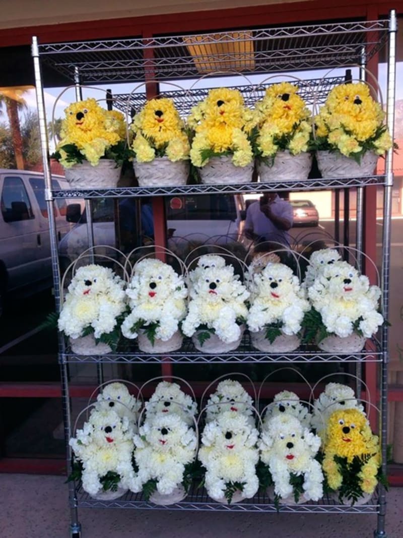 Výtěžek z prodeje těchle květin šel na místní útulek pro psy