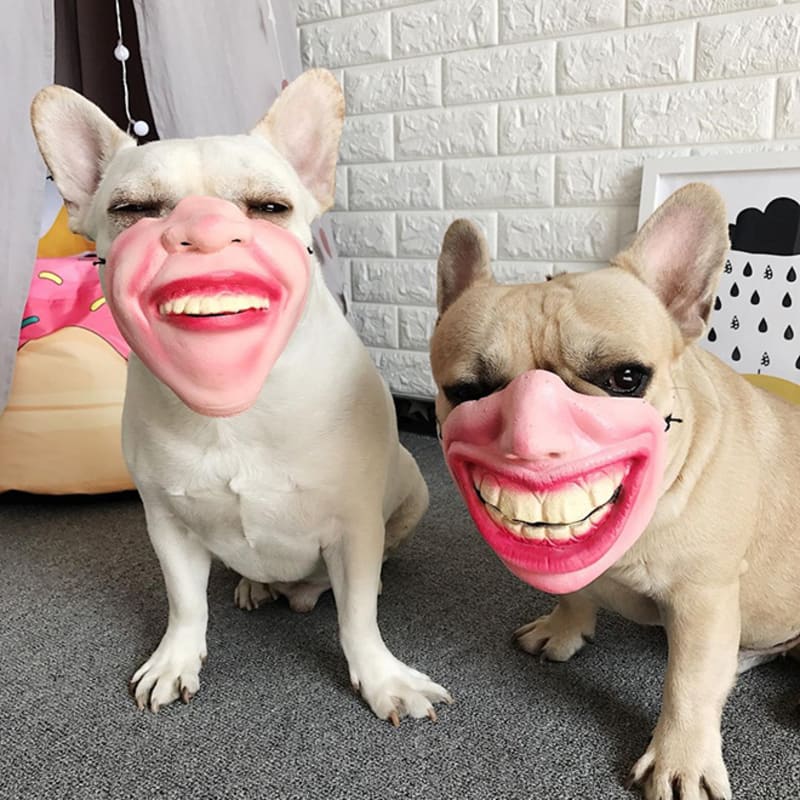 WTF psí masky 11