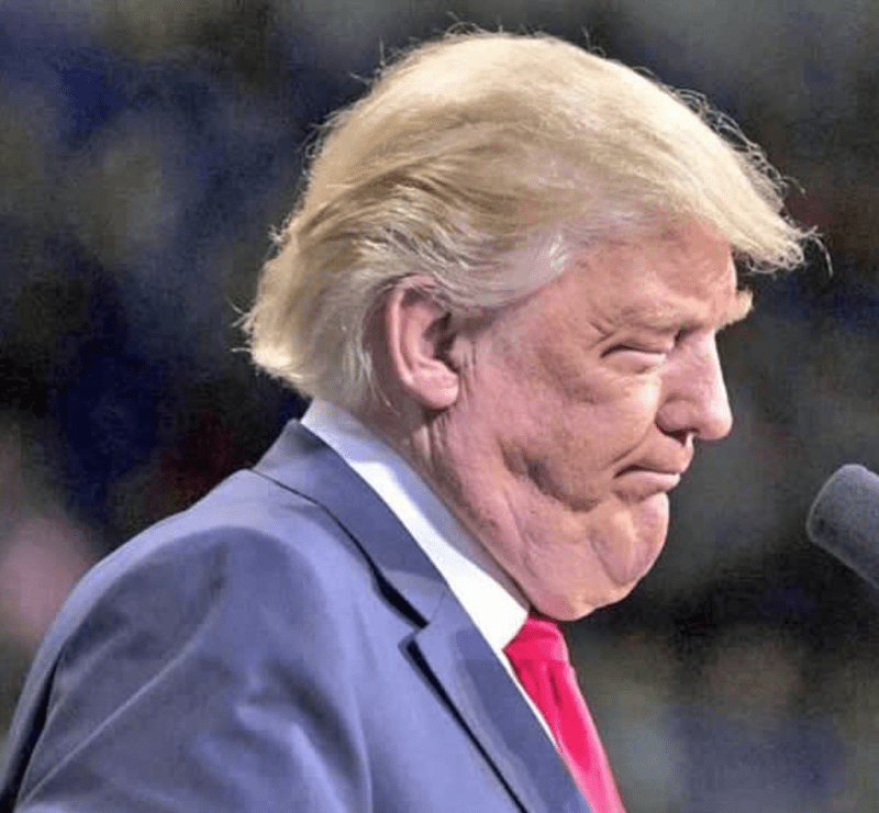 Trumpova brada - epická photoshopová bitva! 15