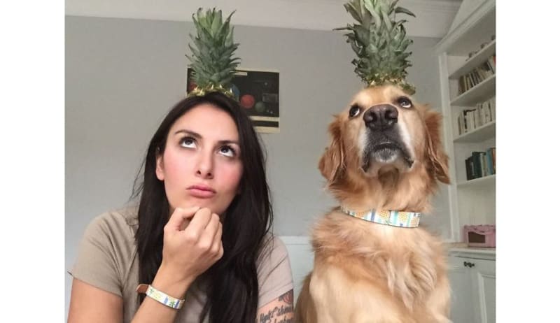 Instagramové přihody nejstylovějšího psa Huga 13