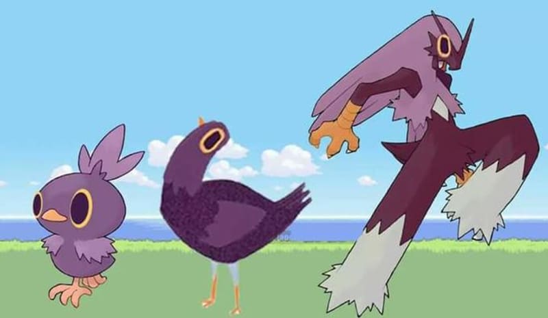 Odkud se vzal fialový holub? 9