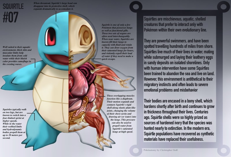 Pokémoní anatomie 3
