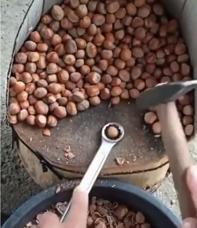 Rychlý způsob, jak louskat ořechy