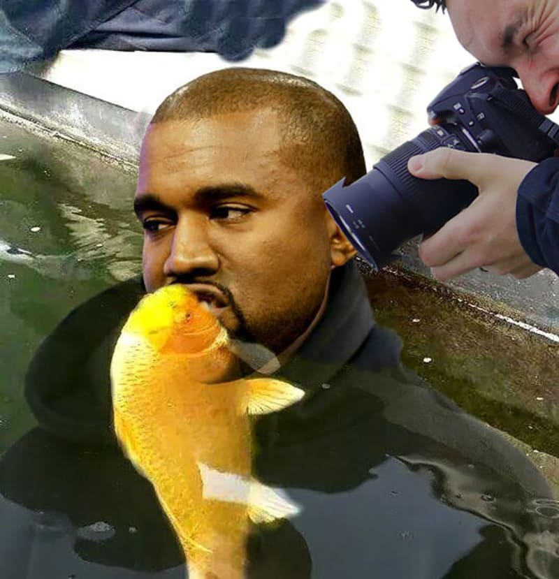 Štěně líbá zlatou rybku - photoshopová bitva 9