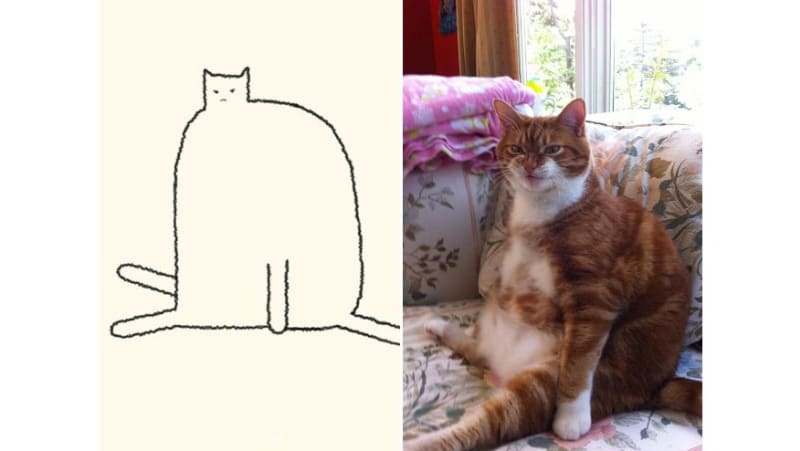 Perfektně výstižné kresby koček 10