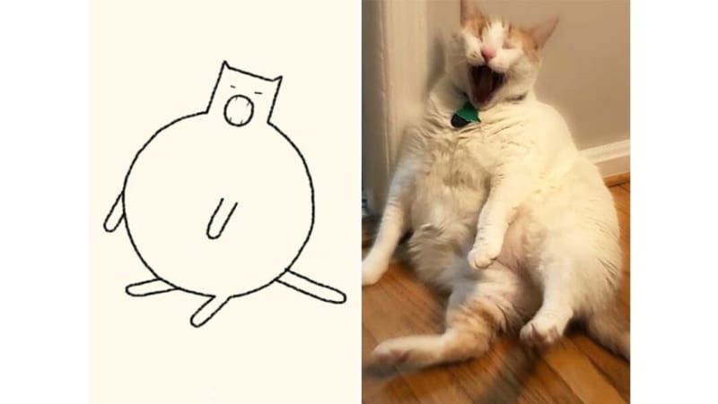 Perfektně výstižné kresby koček 15
