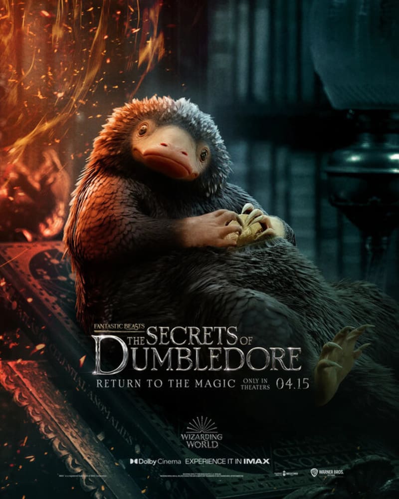 Plakáty k filmu Fantastická zvířata: Brumbálova tajemství 6