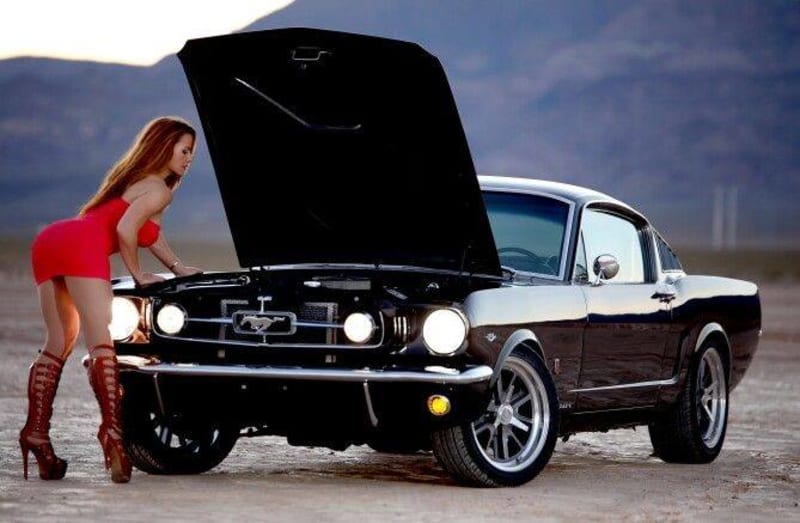 Ford Mustang - 50 let - Obrázek 5