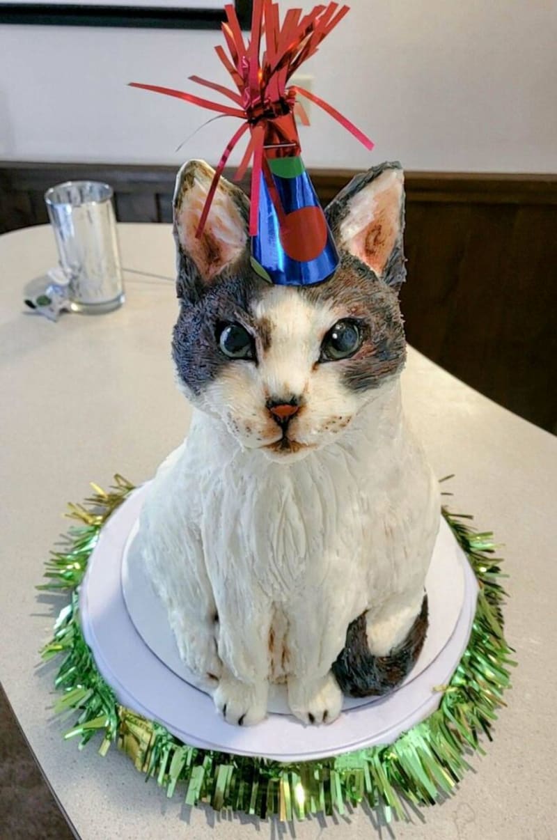 Narozeninový dort pro sestru v podobě její milované kočky - nebyl použit fondán, všechno zdobení je máslový krém