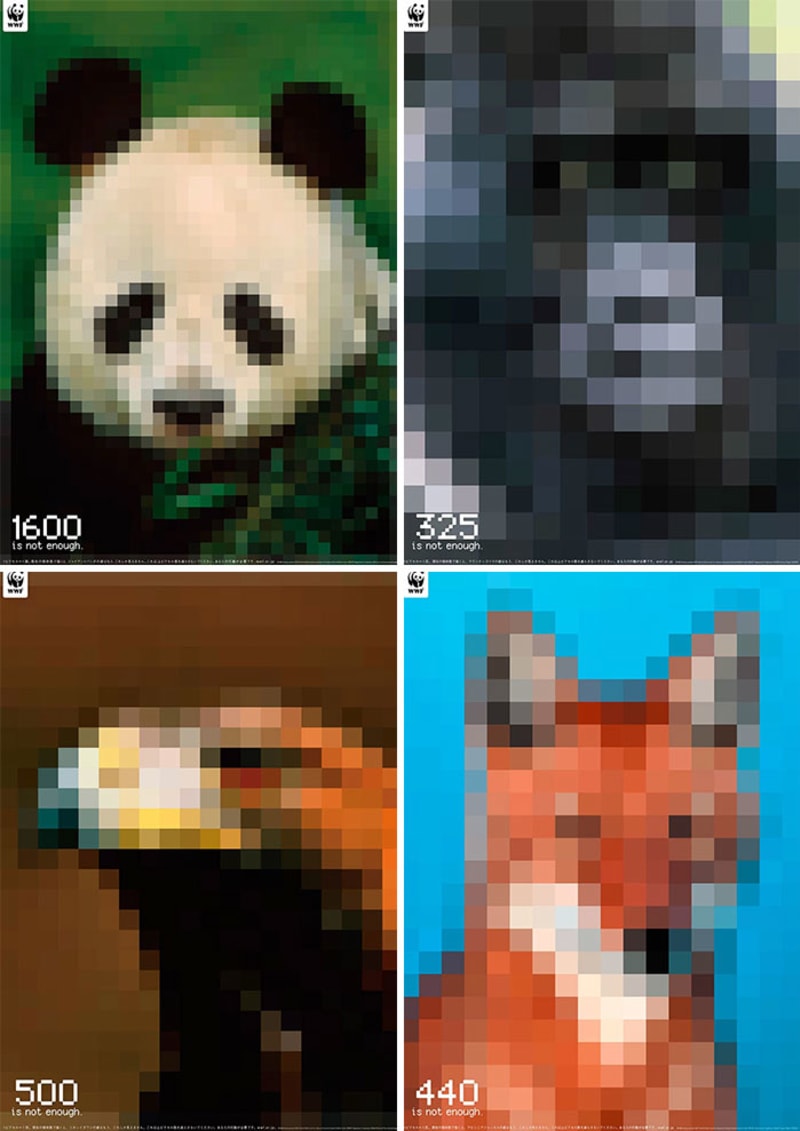 Každý obrázek má tolik pixelů, jak je velká populace daného ohroženého druhu
