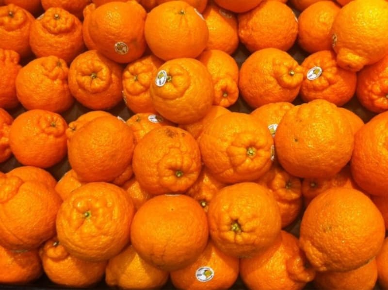 Vršky těch pomerančů vůbec nic nepřipomínají... vůbec NIC!