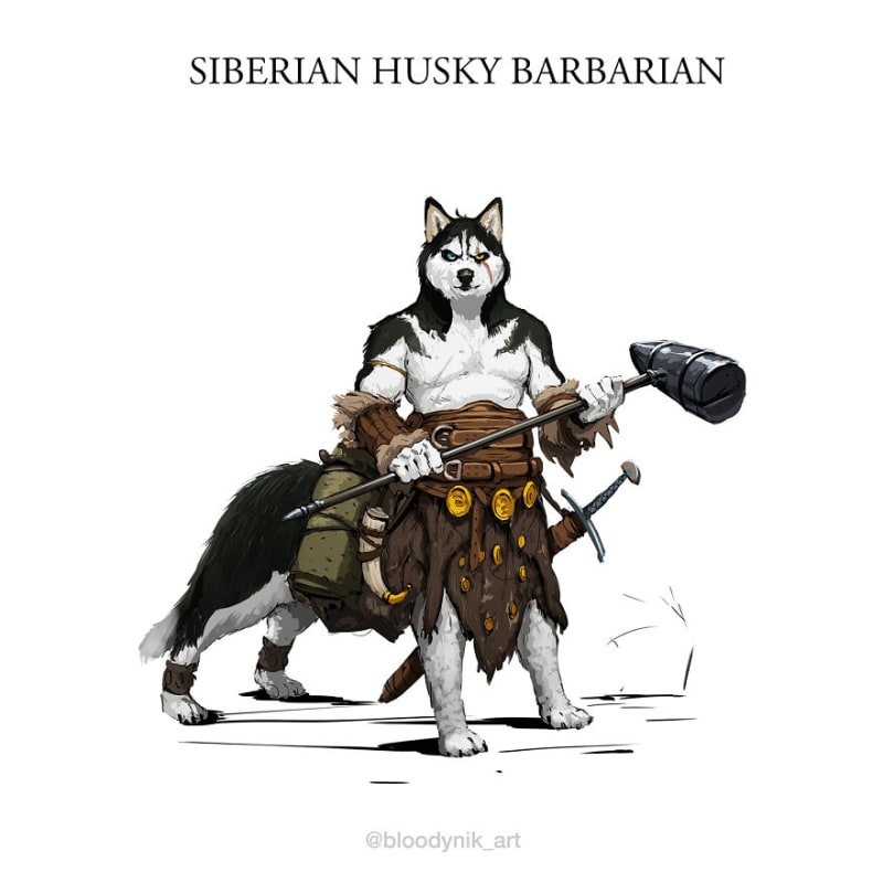 Sibiřský husky barbar