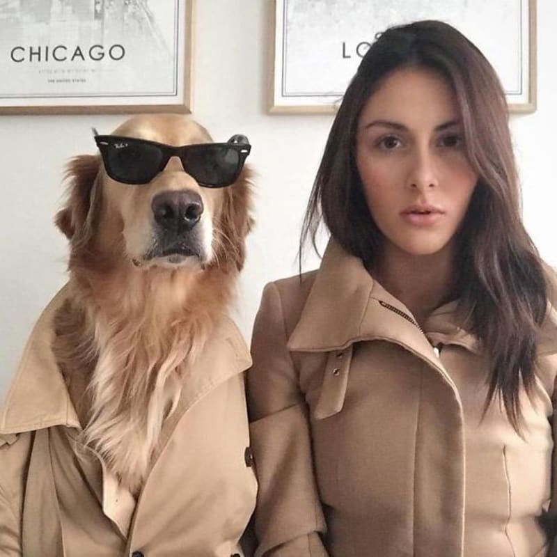 Instagramové přihody nejstylovějšího psa Huga 9