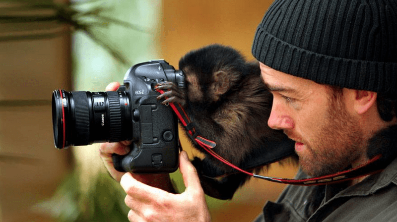Zvířecí fotografové a režiséři - Obrázek 14