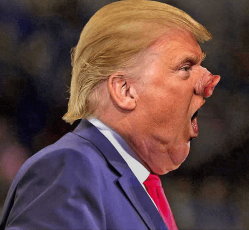 Trumpova brada - epická photoshopová bitva! 13