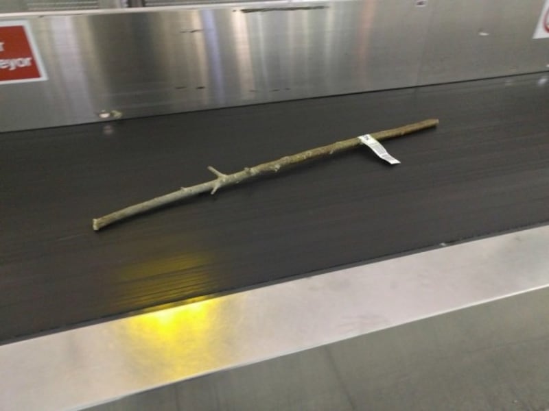 Tahle větev, kterou kdosi checknul na letišti