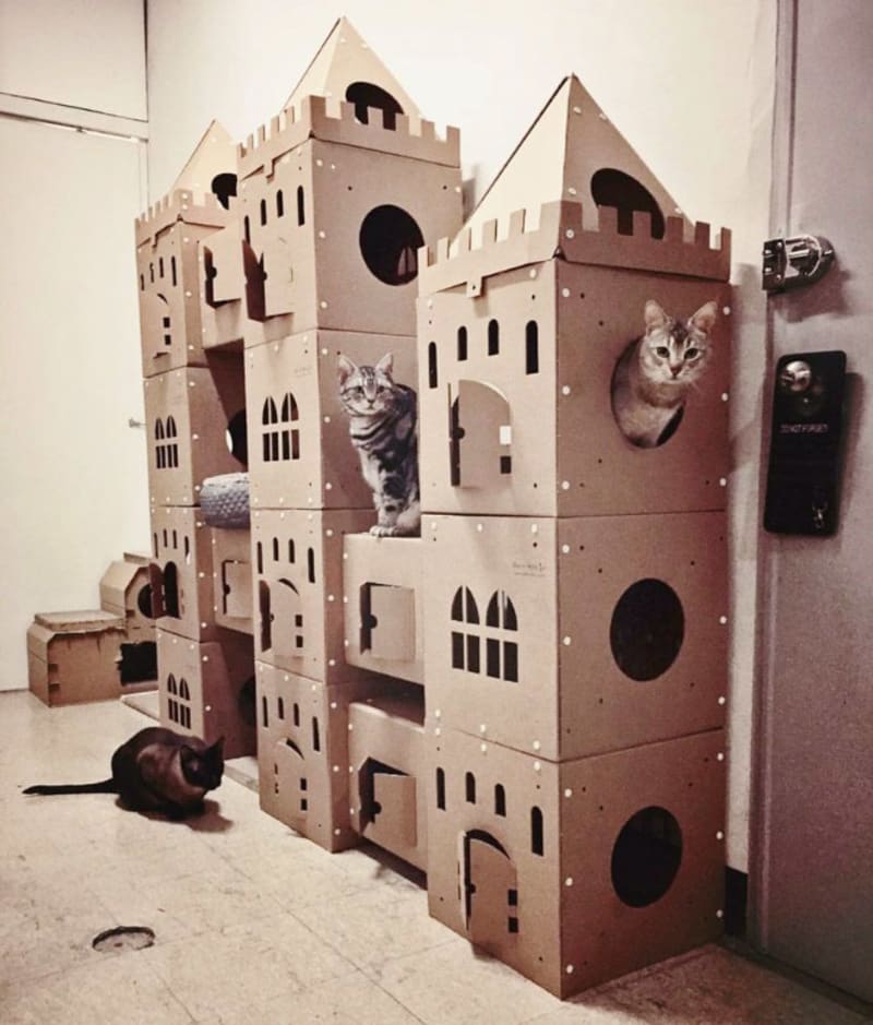 Kočičí hrady 3
