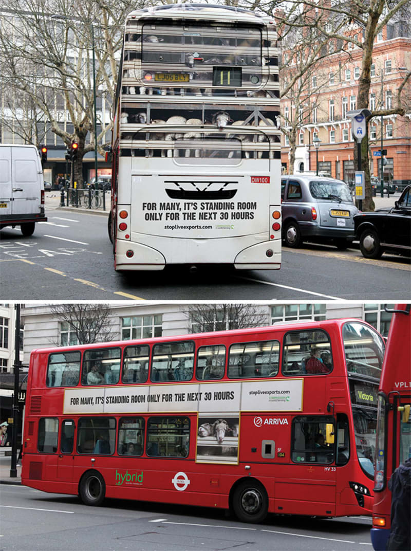 Kampaň proti hromadným transportům živých zvířat