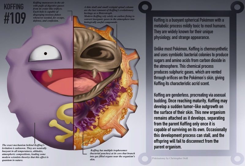 Pokémoní anatomie 4