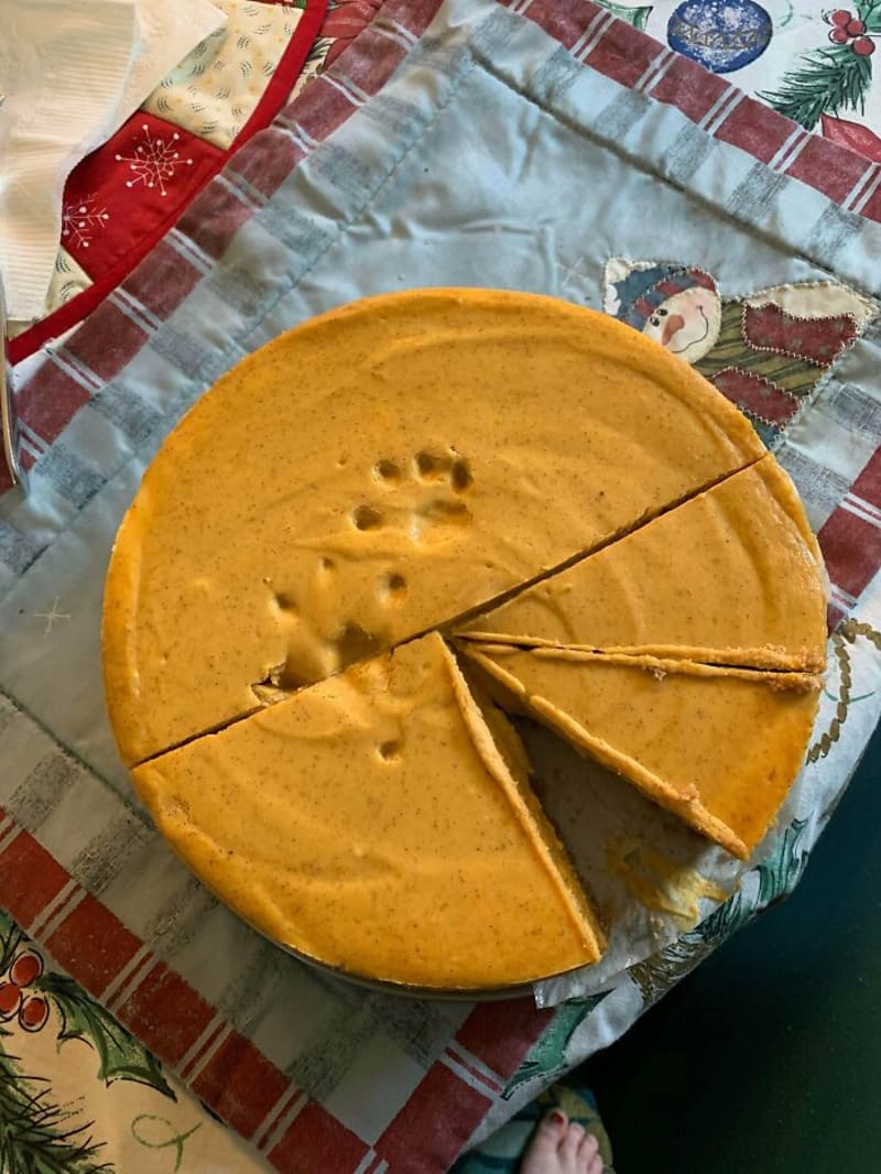 Dýňový cheesecake s kočičím zdobením