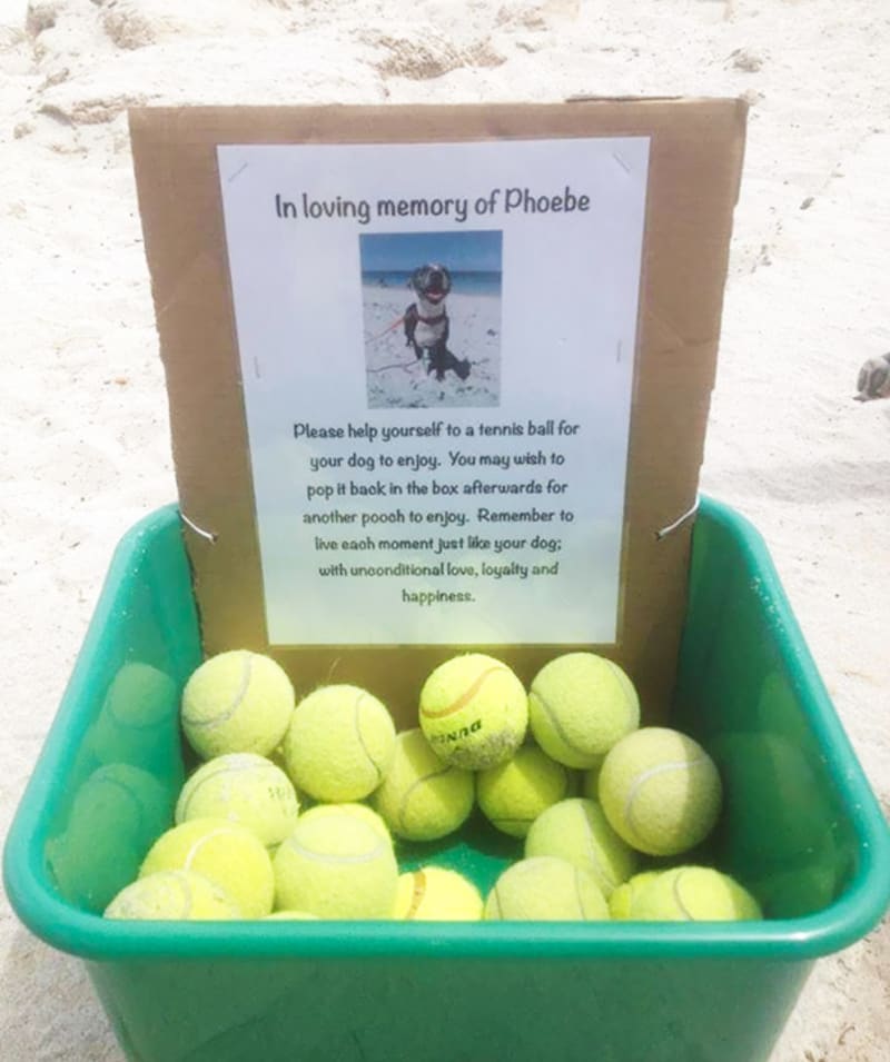 Když na pláži najdete zásobu tenisáků pro psy věnovanou památce fenky Phoebe