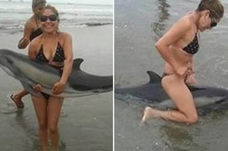 Pár vytáhl delfína na pláž, pořídil s ním celou sérii "vtipných" fotek a dokonce předstíral, že na něm jezdí. Delfín uhynul. (srpen 2015, Lima, Peru)