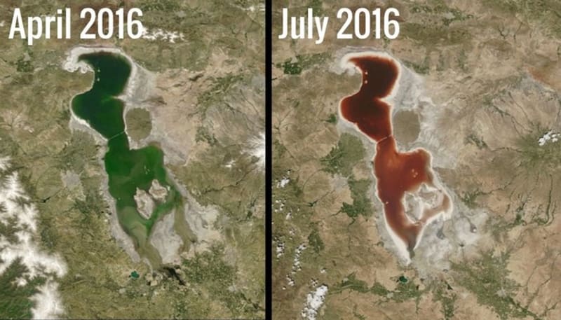 Jezero Urmia, Írán - jen pár měsíců stačilo na divokou změnu barvy vody. Tu způsobilo znečištění a množící se řasy a bakterie