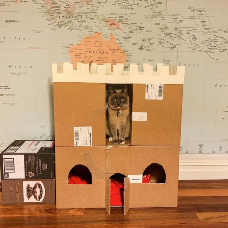 Kočičí hrady 22