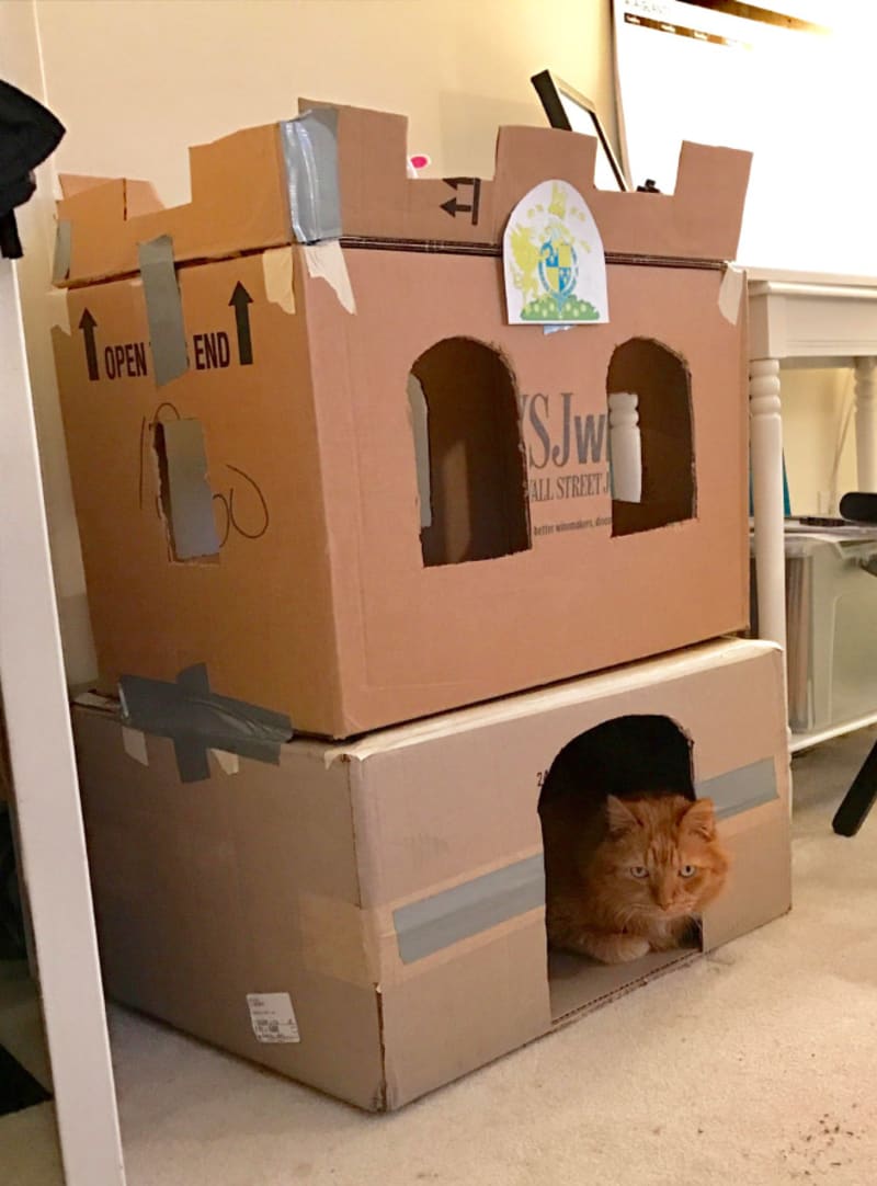Kočičí hrady 5