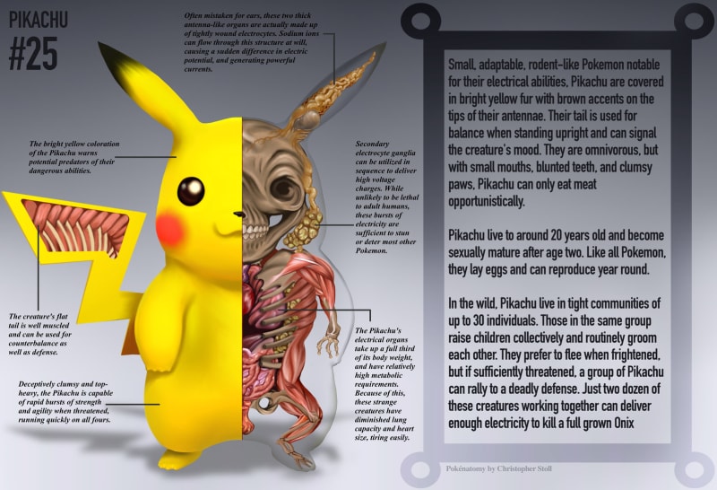 Pokémoní anatomie 9