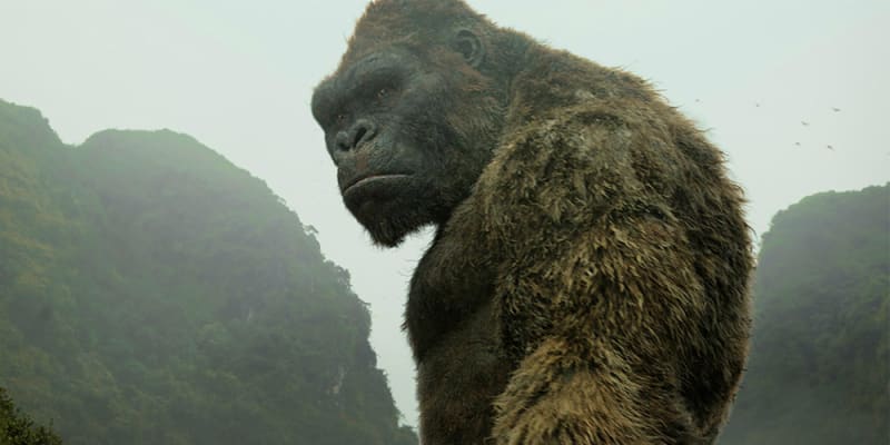 Kong ve filmu Kong: Ostrov lebek