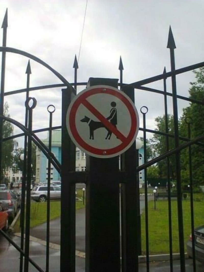 Tohle se svými psy vážně nedělejte!