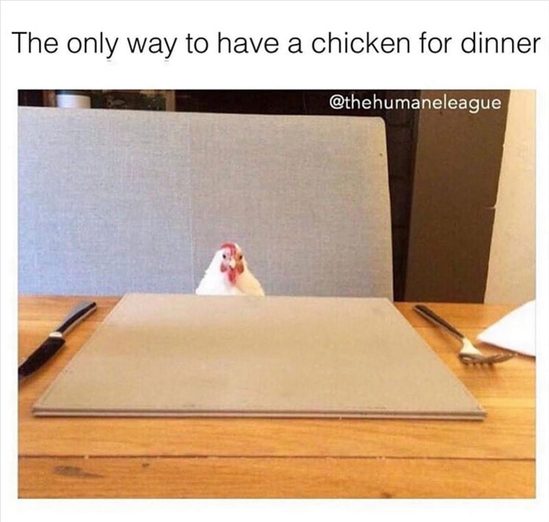 "Jediná cesta, jak dostat kuře k večeři."