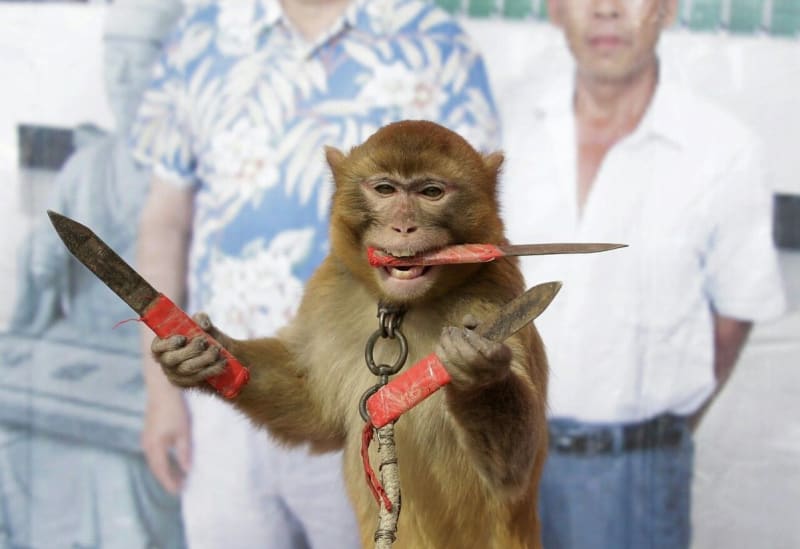 Po zuby ozbrojená opička v akci! 1