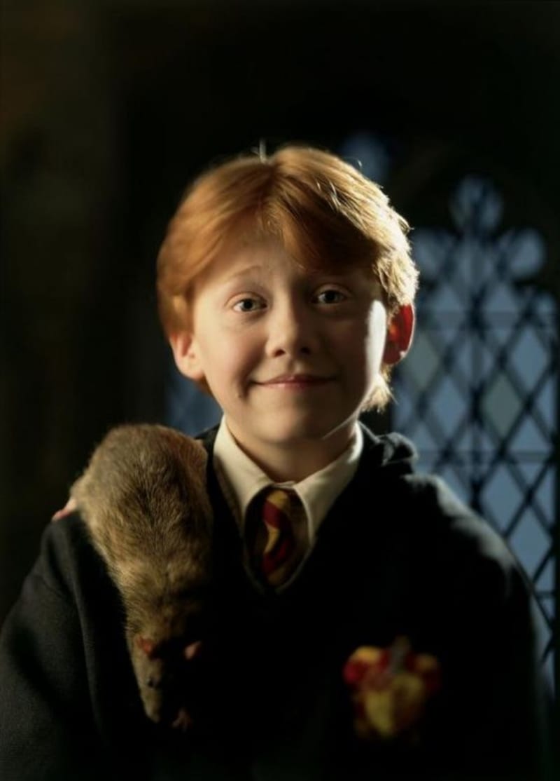 Když Ron daroval Harrymu Lotroskop, který mu dovezl z Egypta, zdálo se, že je rozbitý. Vpravdě však byla uvnitř lapená Ronova krysa, ze které se později vyklubal Peter Pettigrew.