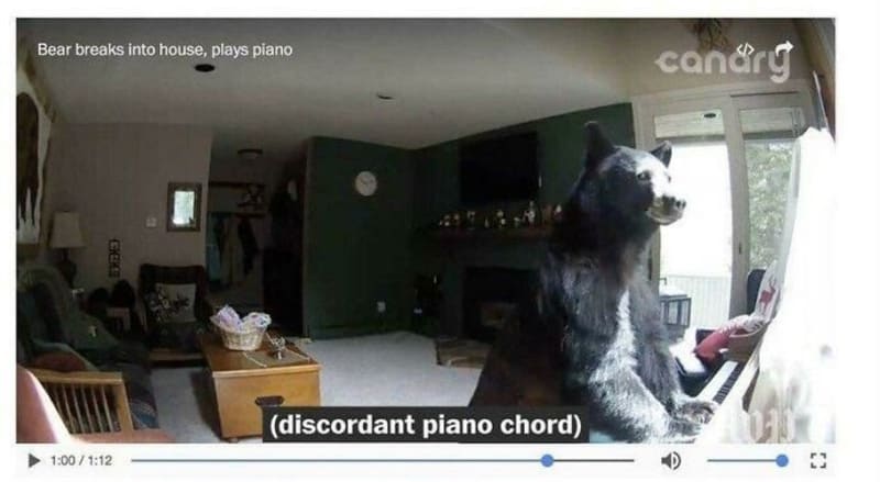 Pro změnu umělec - vloupal se do domu, aby si zahrál na piano