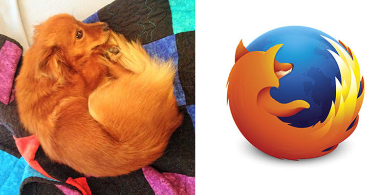 Tak je to pes nebo Firefox?