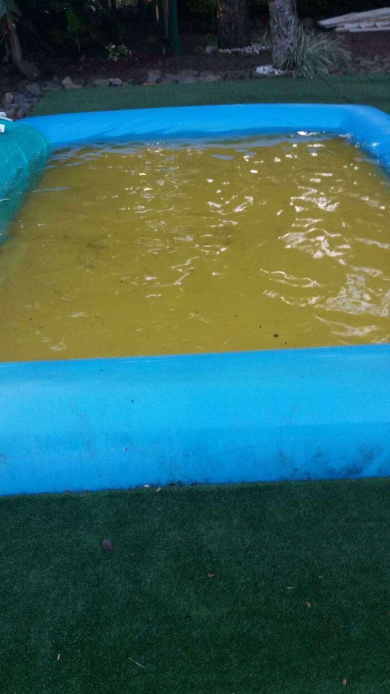 Žluté dno bazénu způsobuje, že voda vypadá jako plná moči