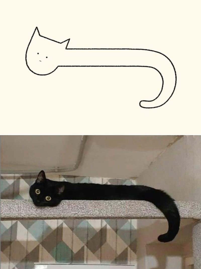 Perfektně výstižné kresby koček 18