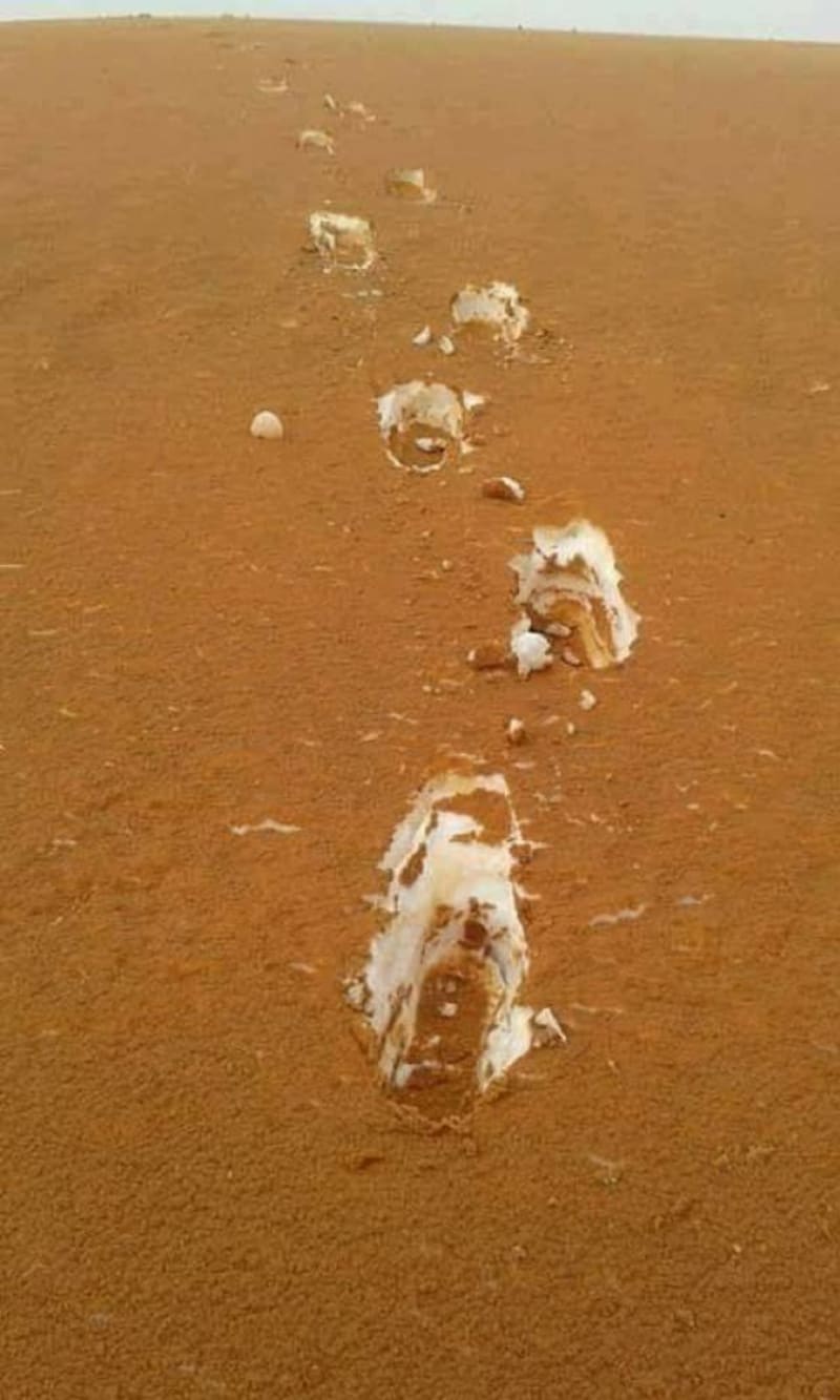 Alžírská poušť vypadá jako tiramisu