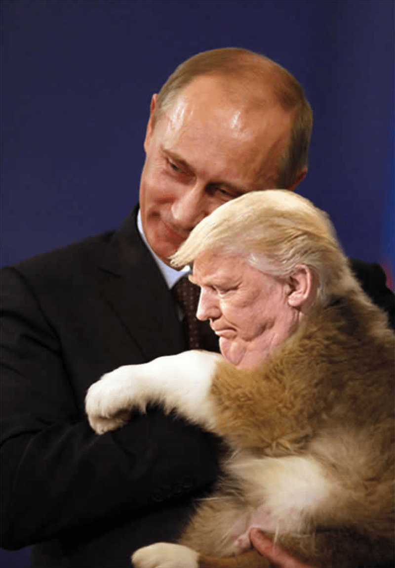 Trumpova brada - epická photoshopová bitva! 23