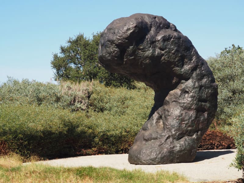 A tady skulptura Okeanos, San Diego, USA
