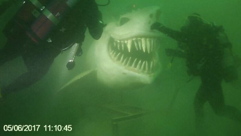 Podvodní socha žraloka ve švýcarském jezeře Neuchâtel