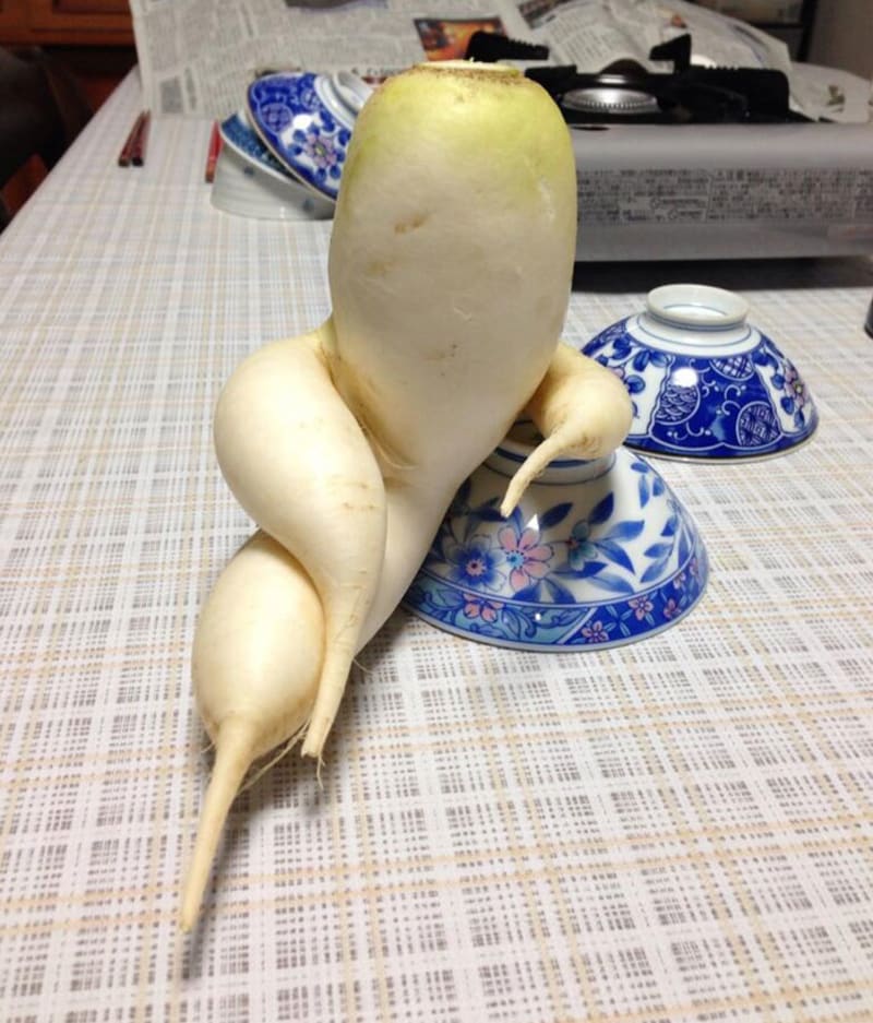 Opravdu podezřelá zelenina 11