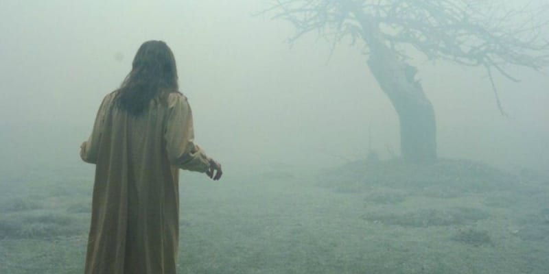 6) V moci ďábla (2005) - Příběh pojednává o soudním líčení s farářem obviněným ze smrti 19leté Emily. Tu církev oficiálně prohlásila za posedlou zlým duchem. Film je podle skutečných událostí.