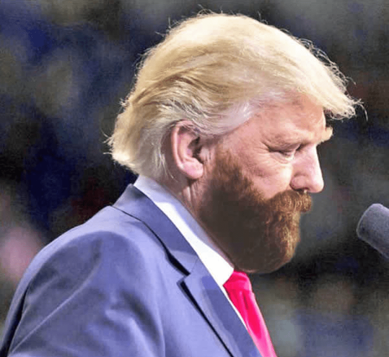Trumpova brada - epická photoshopová bitva! 28